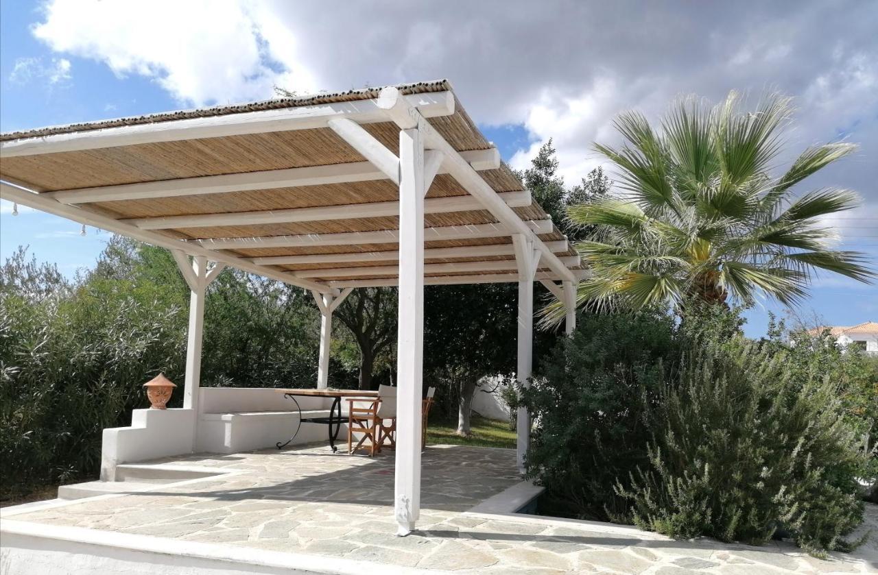 Olive Grove Soulis Family Estate