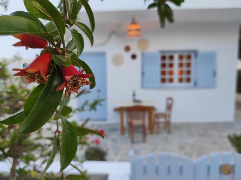 Olive Grove Soulis Family Estate Porto Heli