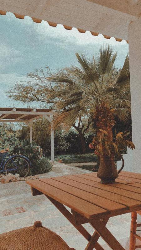 Olive Grove Soulis Family Estate Holiday home *