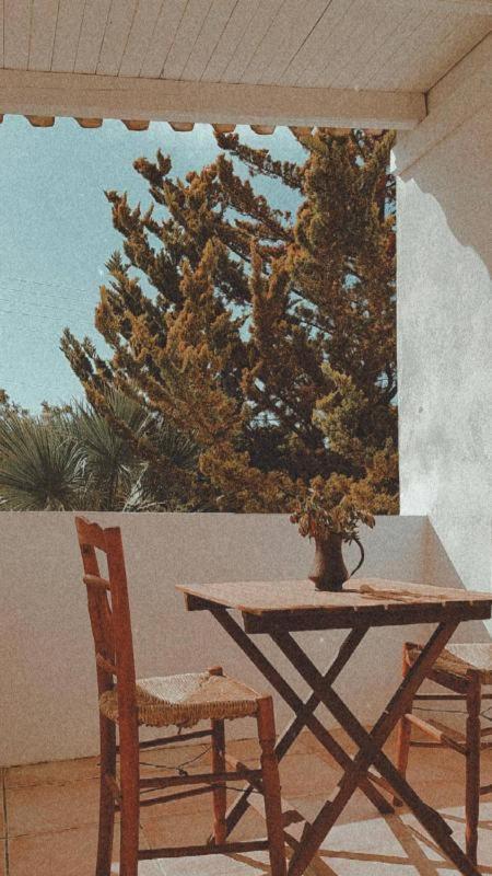 Olive Grove Soulis Family Estate * Porto Cheli
