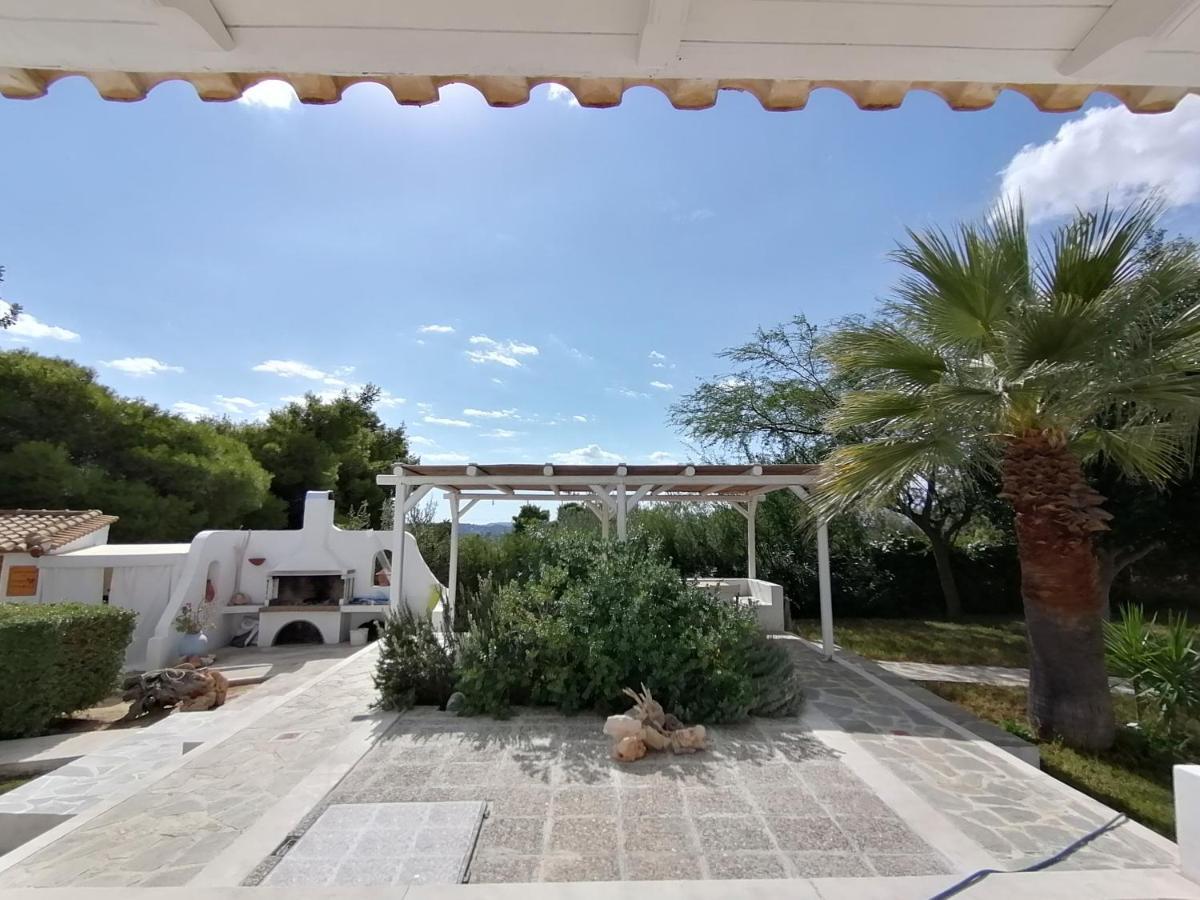 Holiday home Olive Grove Soulis Family Estate *
