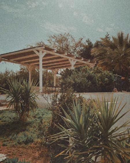 Holiday home Olive Grove Soulis Family Estate