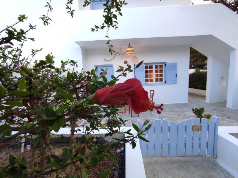Olive Grove Soulis Family Estate Holiday home